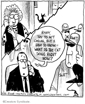 300x365 The Swat Team Comics And Cartoons The Cartoonist Group