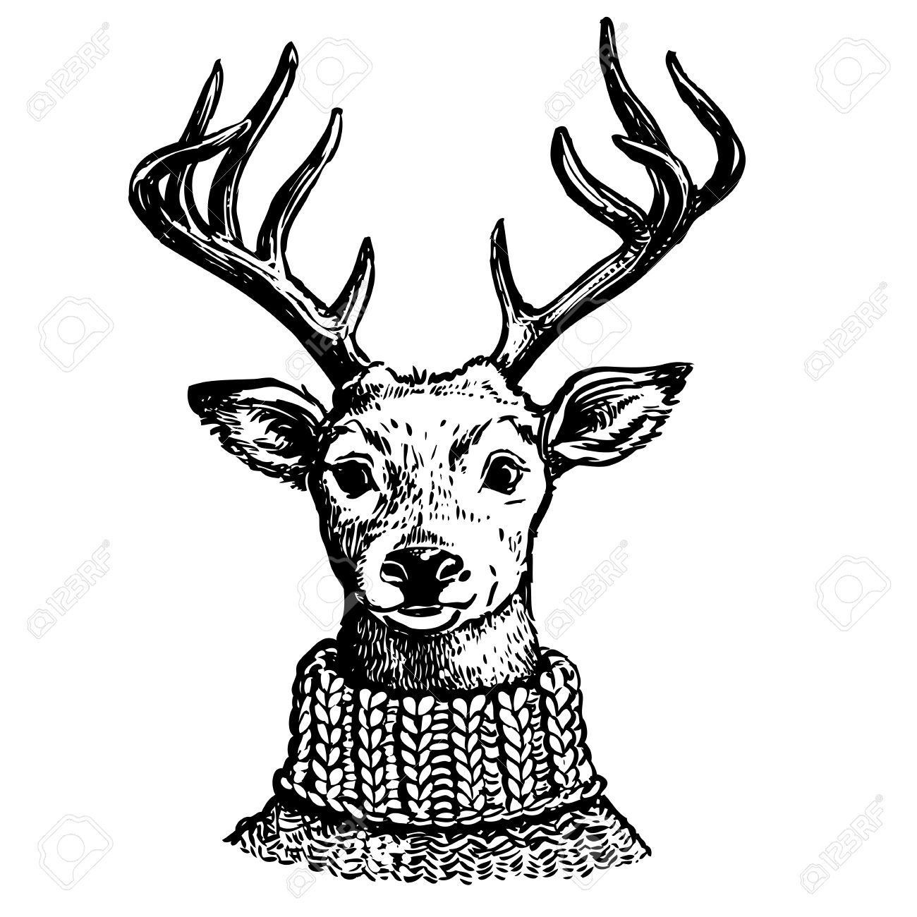1300x1300 Hand Drawn Pen And Ink Vector Drawing Of A Reindeer Head. Funny