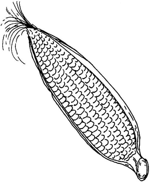 600x730 Mesmerizing Corn Coloring Pages 17 In Coloring Books With Corn