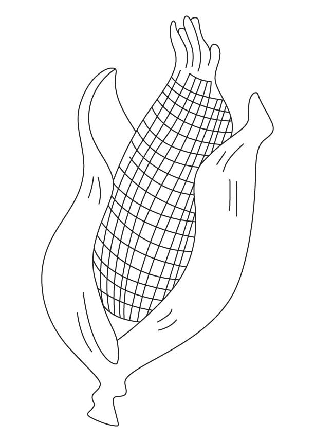 613x860 Sweet Corn Coloring Sheet Download Free Sweet Corn Coloring