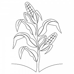 300x300 Corn Stalk Border 001 Sweet Dreams Quilt Studio