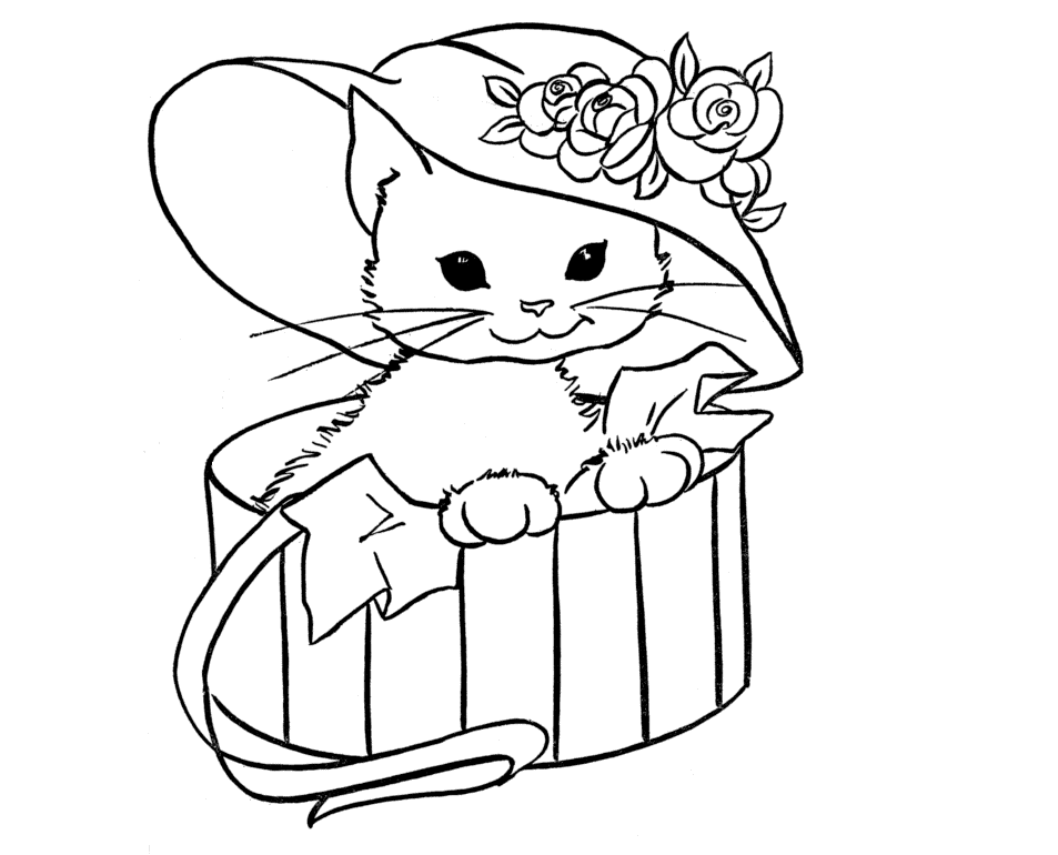 953x770 Colours Drawing Wallpaper Sweet Cat Coloring Colour Drawing Hd