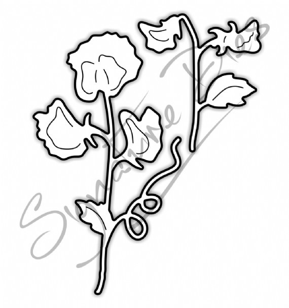 570x608 Signature Dies