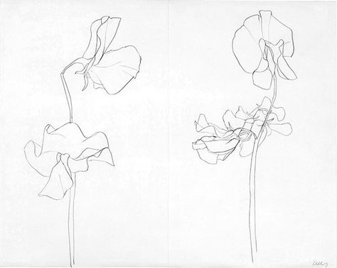 474x378 Ellsworth Kelly