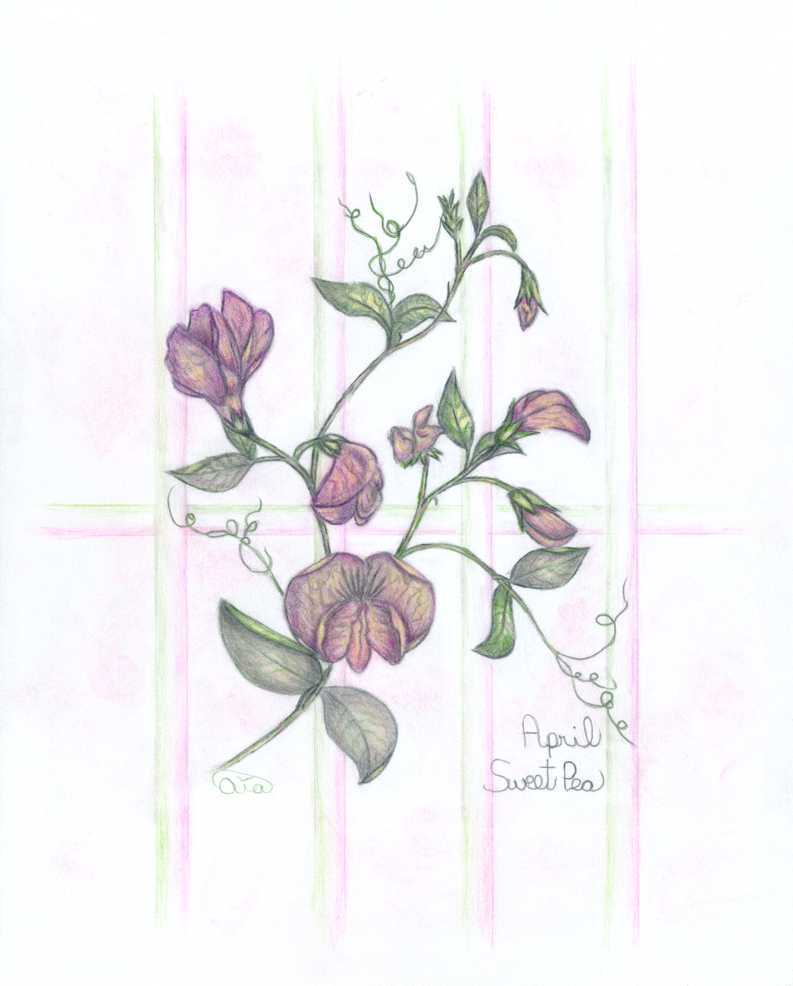 793x986 Flowers Of The Month Aiaart