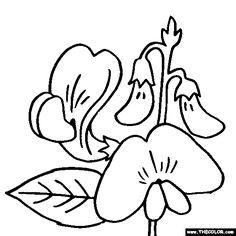236x236 Pea Clipart Colouring