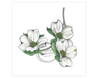 340x270 State Flower Etsy