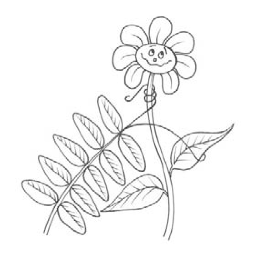 892x877 Teachers' Resources Heritage In Schools