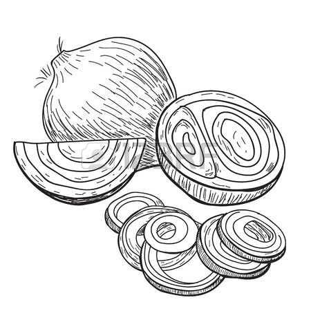 450x450 Hand Drawing Of Sweet Potato. Black And White Simple Line Vector