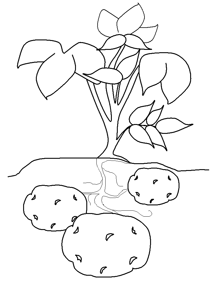 718x957 Potato Coloring Pages Printables School Ideas Craft