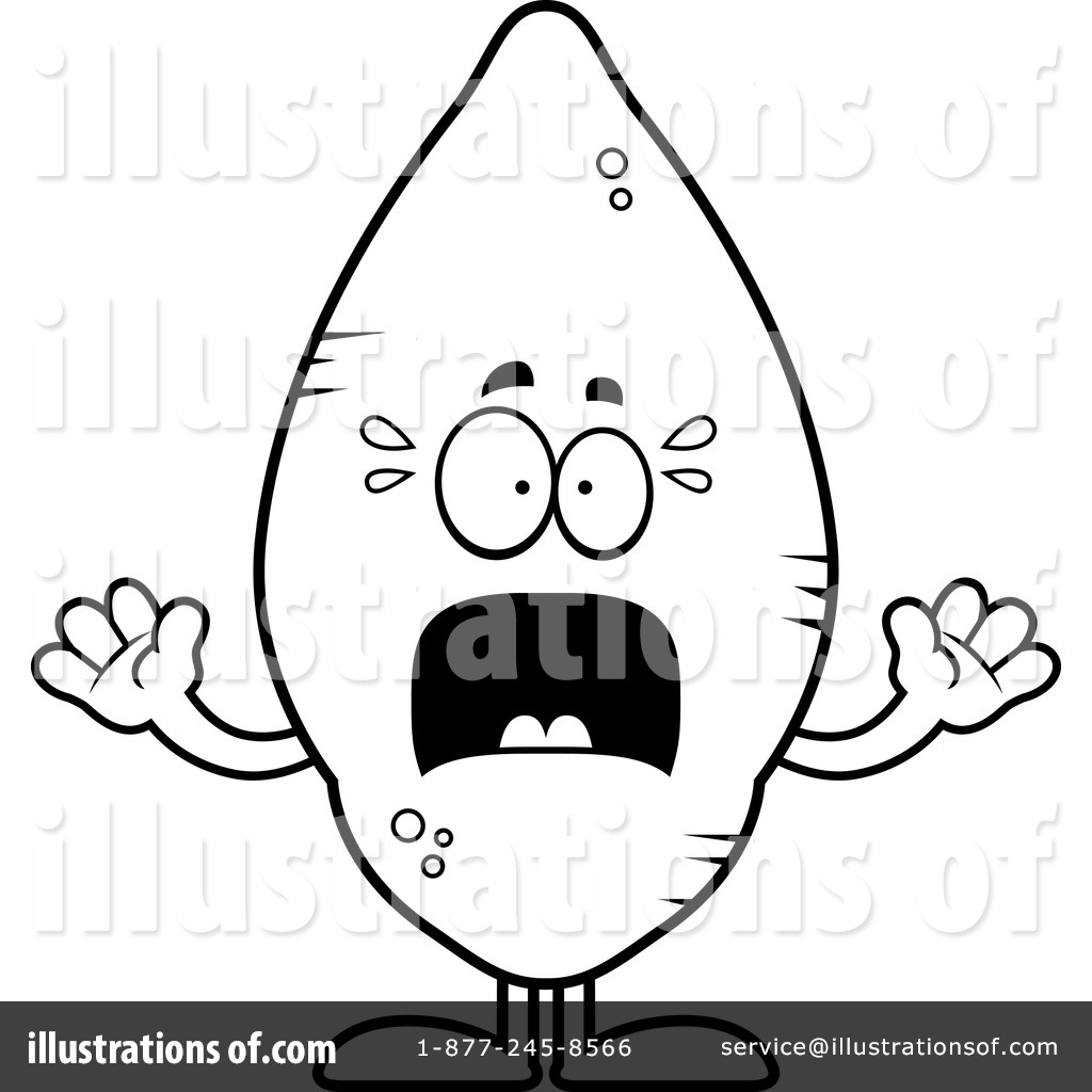 1024x1024 Sweet Potato Clipart