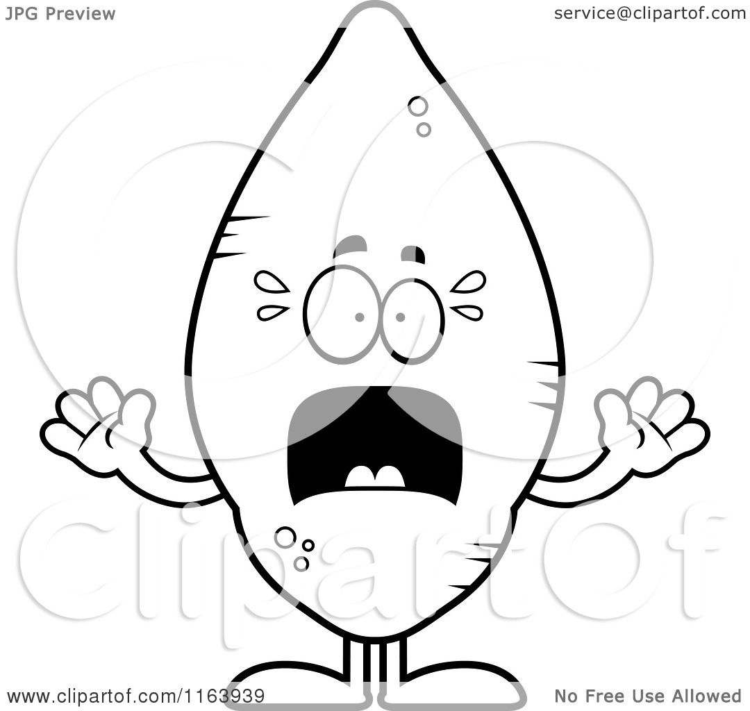 1080x1024 Cartoon Of A Scared Sweet Potato Mascot