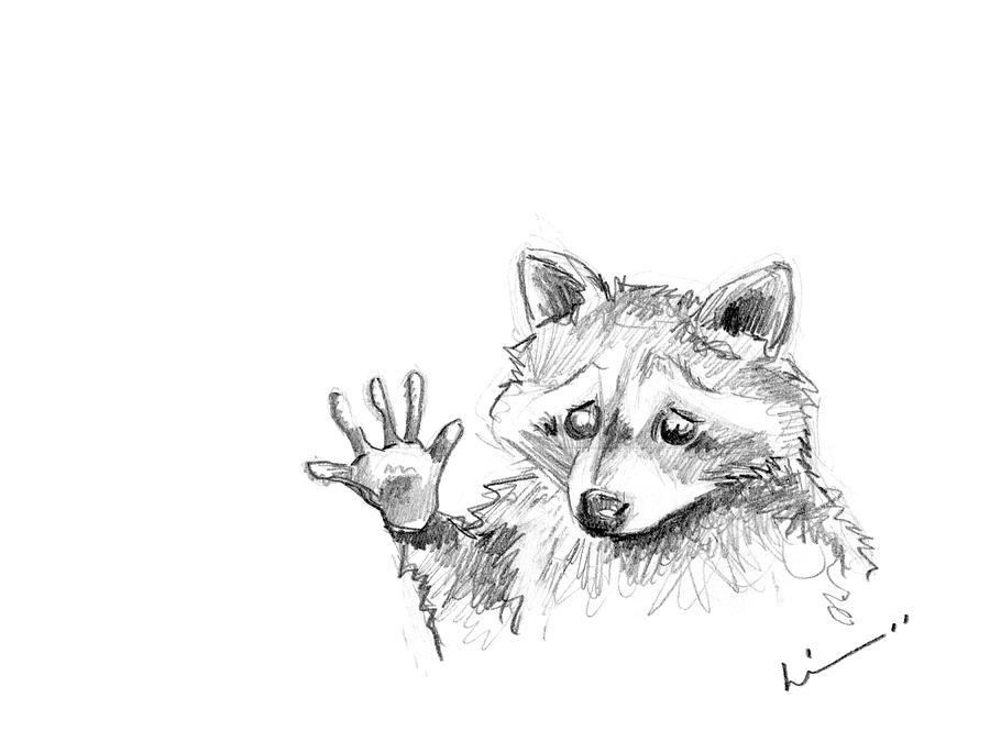 900x685 Excuse Me Drawing By Lisa Rosenmeier