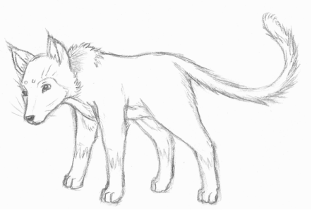 442x300 Fox cat Hybrid By Shadobabe
