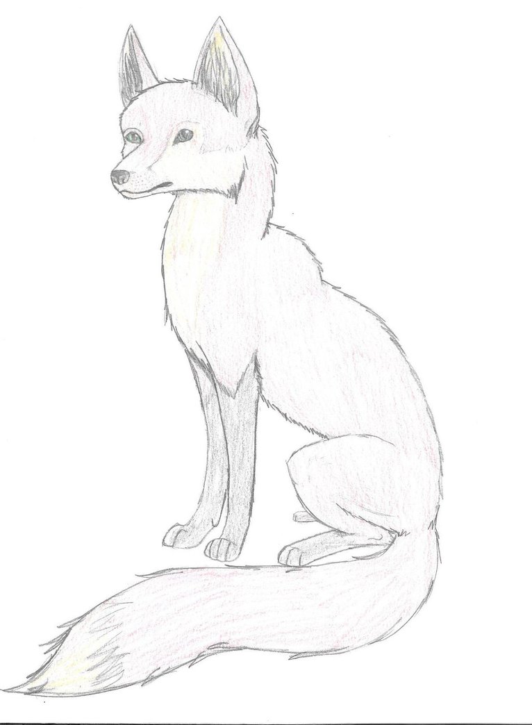 766x1044 Fox Drawn Pic By Echowolfs