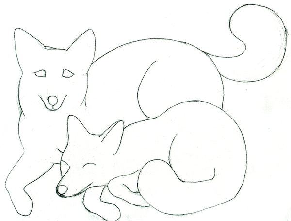 600x455 Husky And Swift Fox