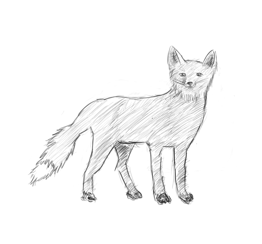 892x832 January 17th