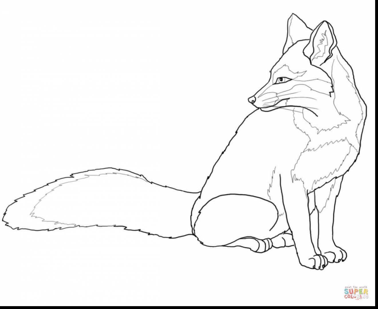 Swift Fox Drawing at GetDrawings | Free download