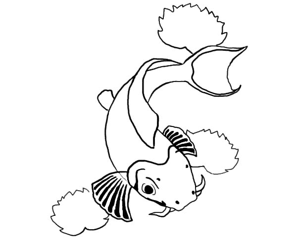 600x500 Drawn Koi Fish Swimming