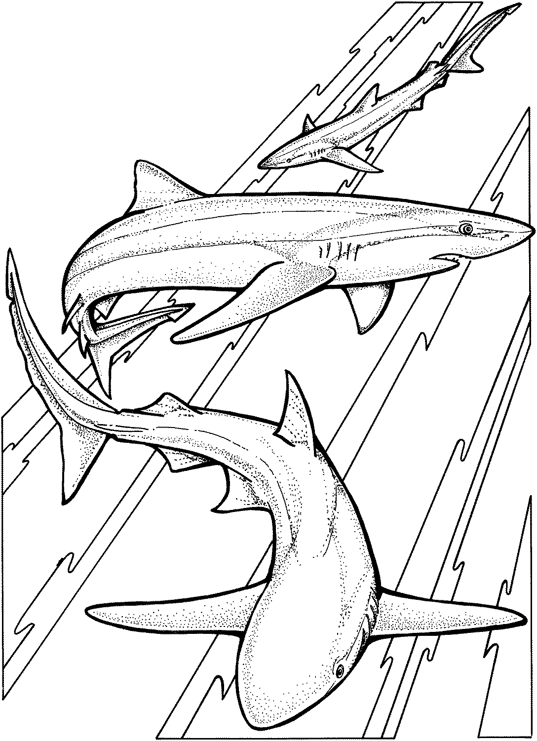 1088x1501 Free Shark Coloring Pages