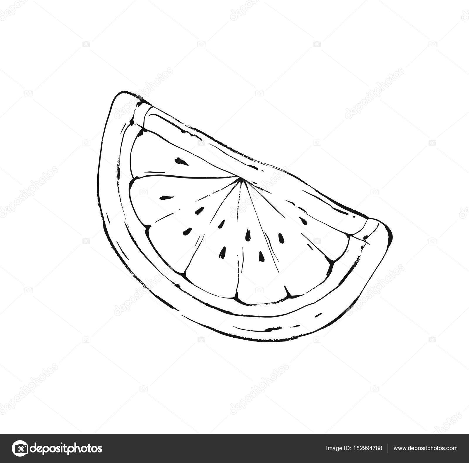 1600x1581 Hand Drawn Vector Abstract Graphic Summer Time Ink Drawing Sketch