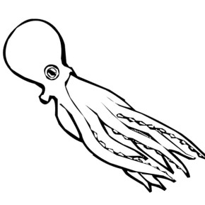 290x289 Ocean Angry Octopus Coloring Page, Swimming Octopus Coloring