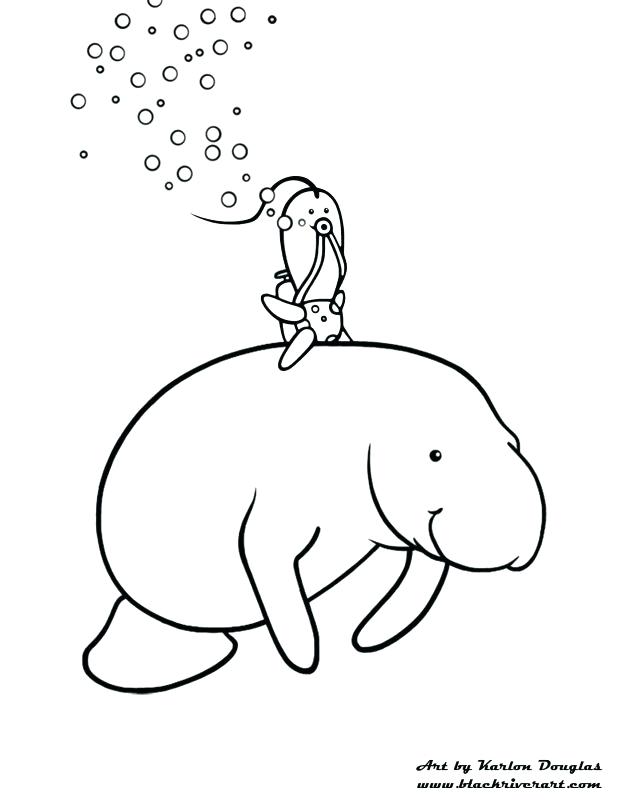 618x800 Manatee Coloring Pages Manatee Coloring Pagend Drawing