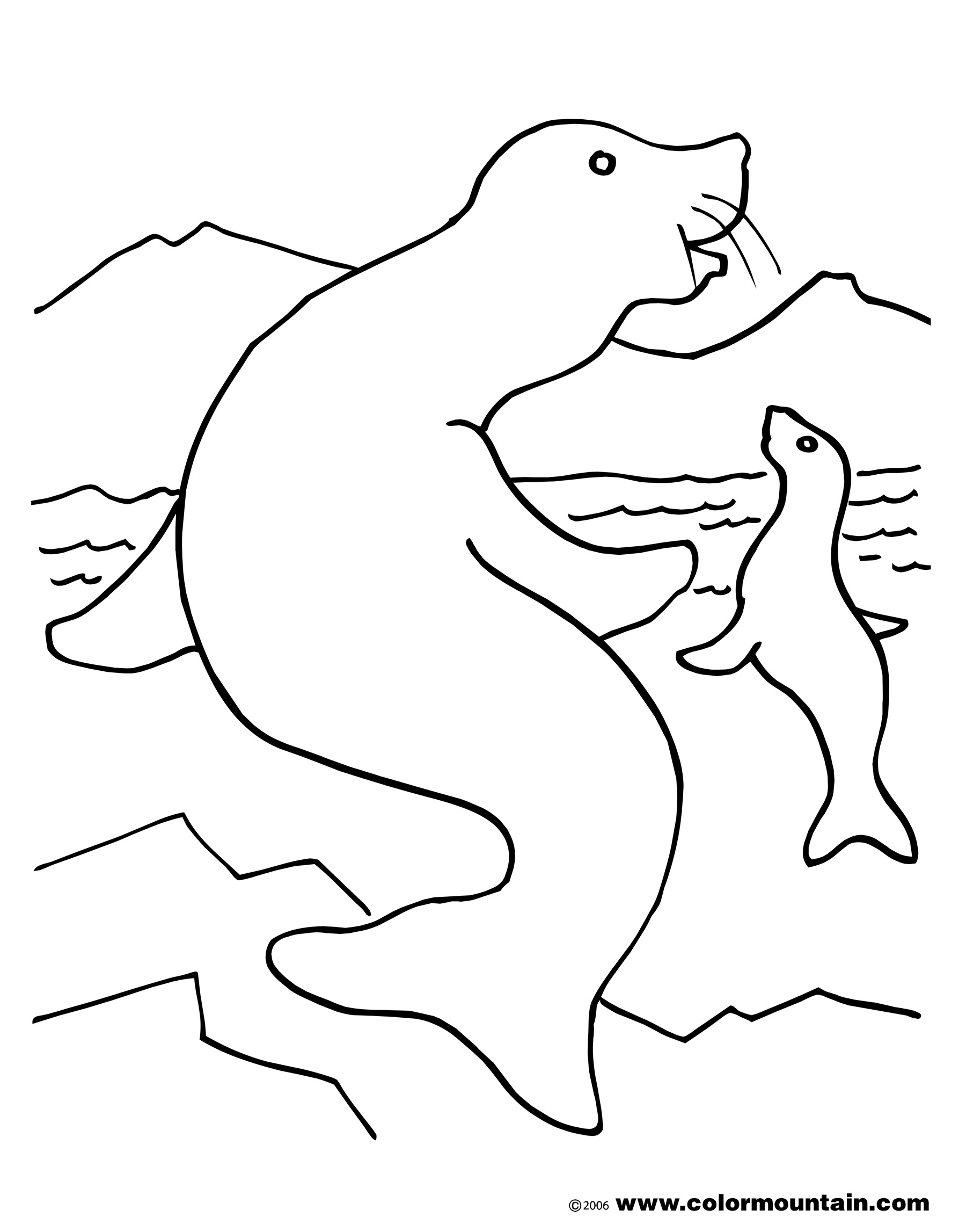 1800x2294 Swimming Seal Color Sheet