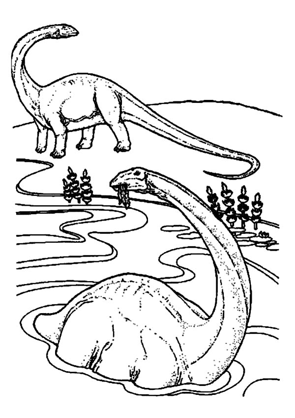 600x849 Brachiosaurus Is Swimming Coloring Page Color Luna