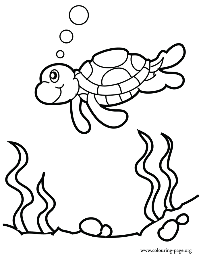 700x891 Turtle Swimming Clipart