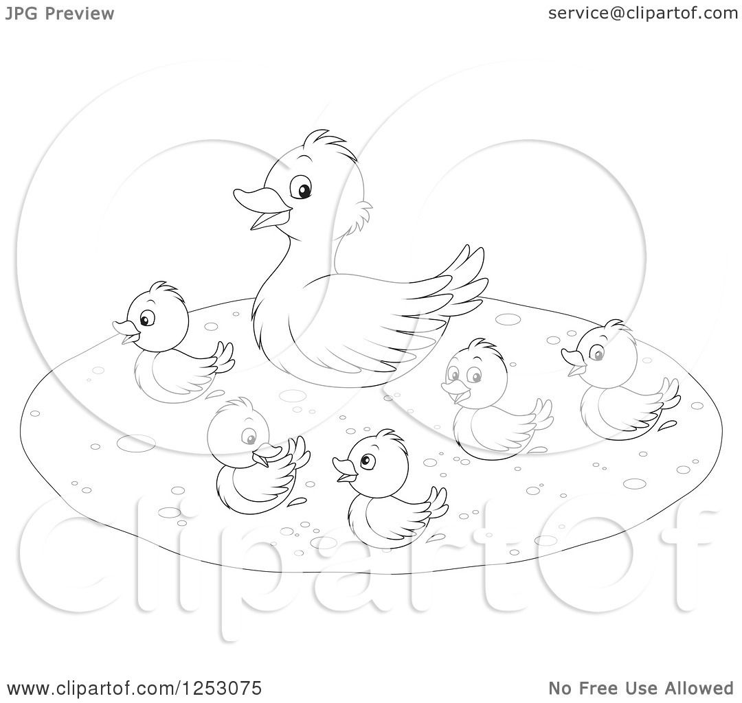 1080x1024 Clipart Of A Black And White Mother Duck And Babies Swimming