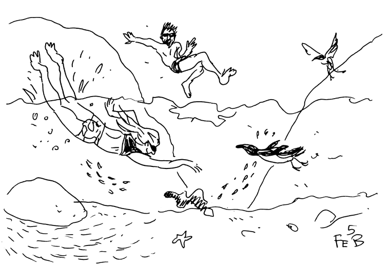 764x514 Shorts 2009 Boulders Beach February 5