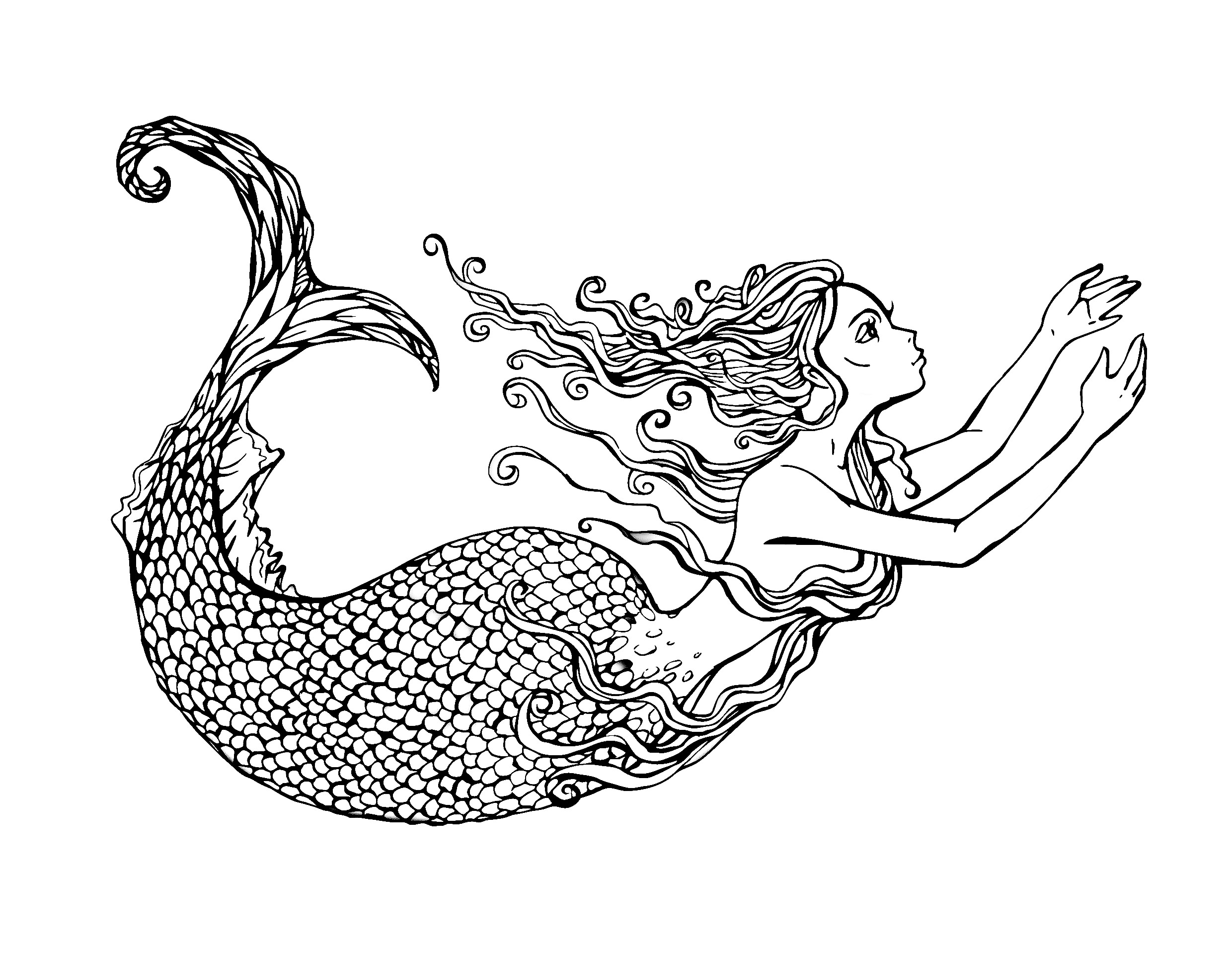 2480x1949 Swimming Mermaid Coloring Pages For Adults Colouring Funny Draw