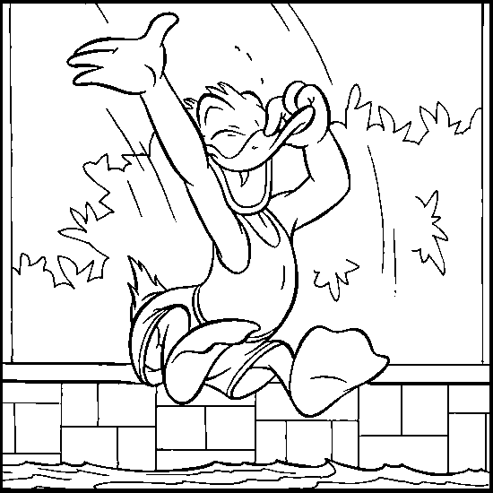 550x550 Donald Duck Falls Into Swimming Pool Coloring Picture For Kids