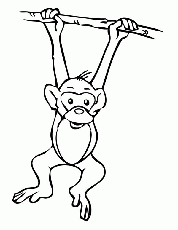 600x776 Monkey Coloring Pages Printable