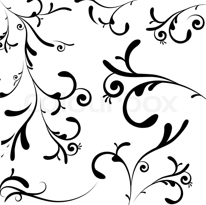 800x796 A Collection Of Black Leaf And Vine Like Swirls Stock Vector