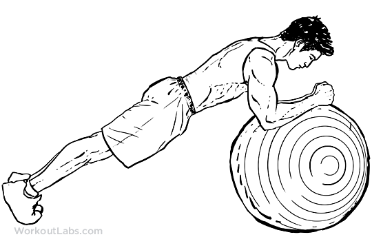 540x360 Swiss Ball Plank Workoutlabs