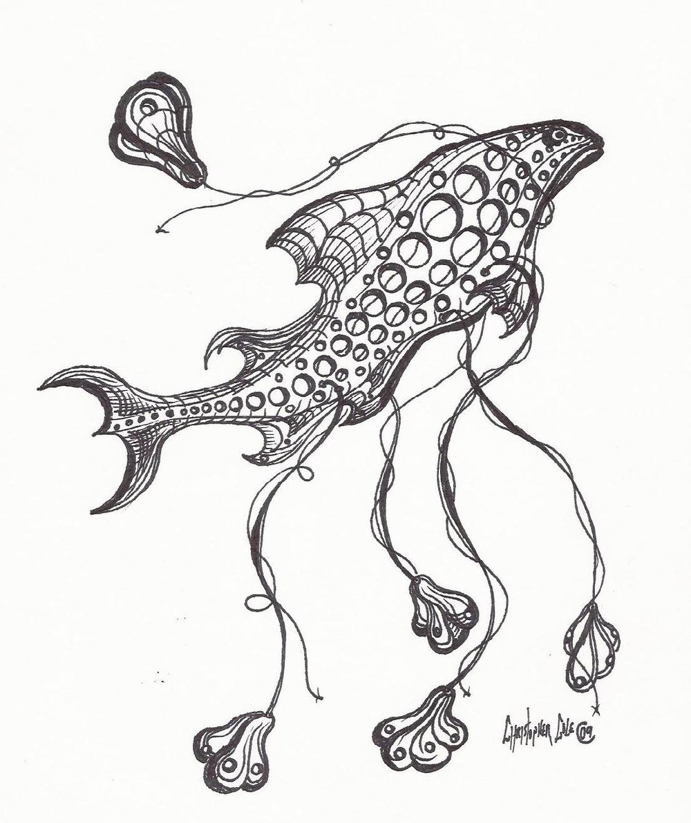 1000x1192 Swiss Fish Sketch, Limited Edition Print Chris Cole Designs