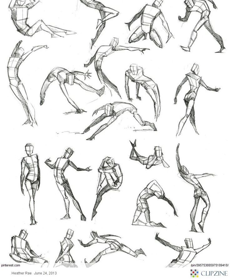 736x892 Anatomy Pose, Art