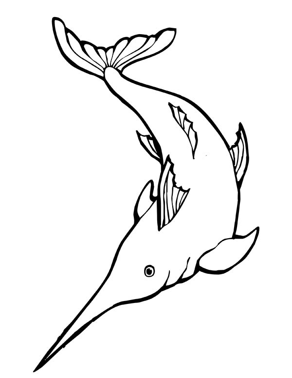 600x776 Awesome Swordfish Coloring Page Color Luna