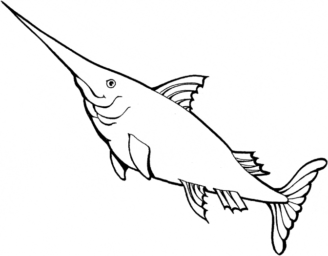 672x525 Swordfish Coloring Page