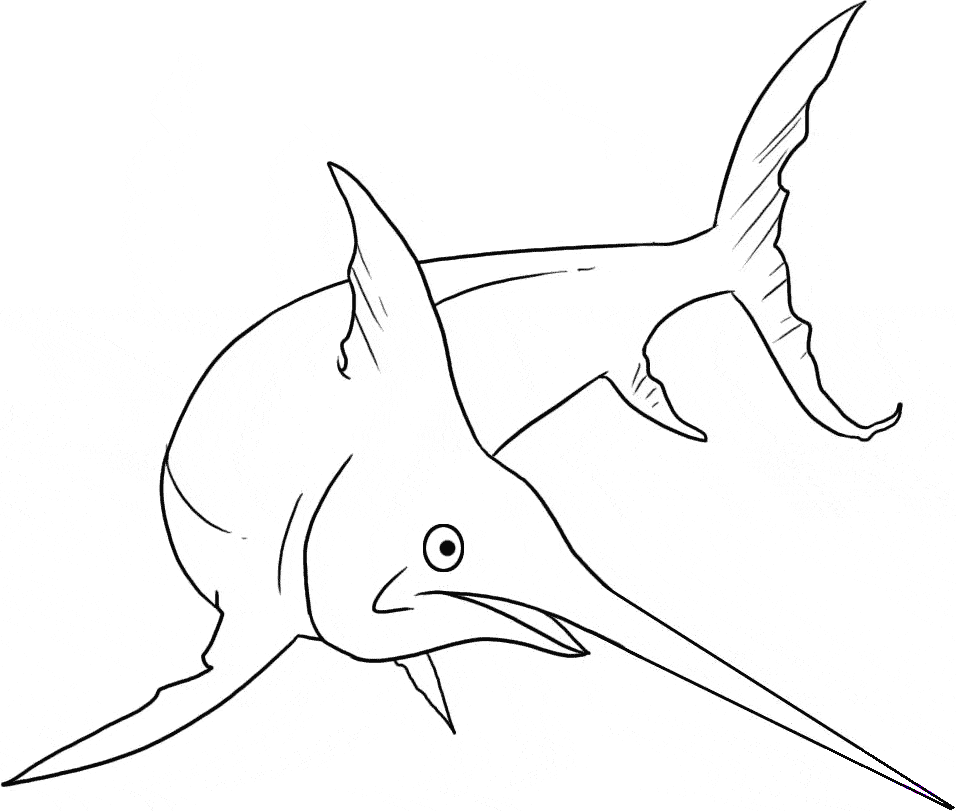 956x811 Swordfish Coloring Page