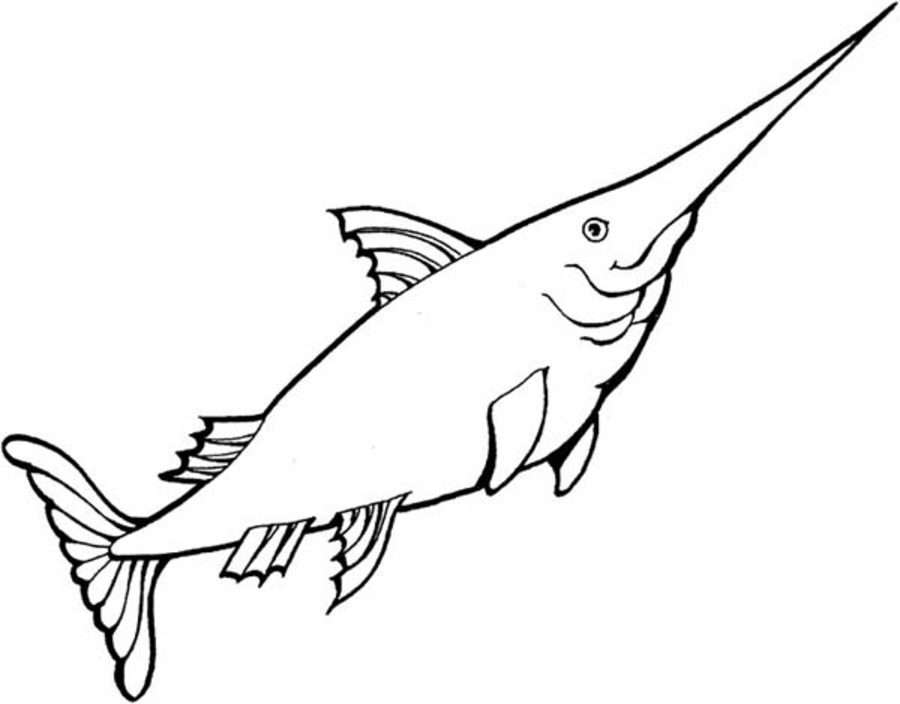 900x704 Coloring Pages Swordfish, Printable For Kids Amp Adults, Free
