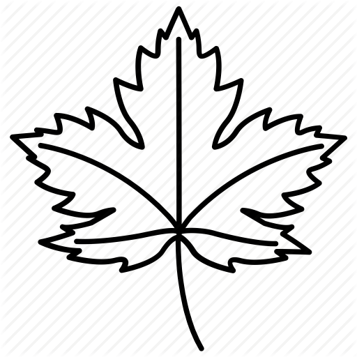 512x512 Leaf, Leaves, Maple, Sycamore, Tree Icon Icon Search Engine