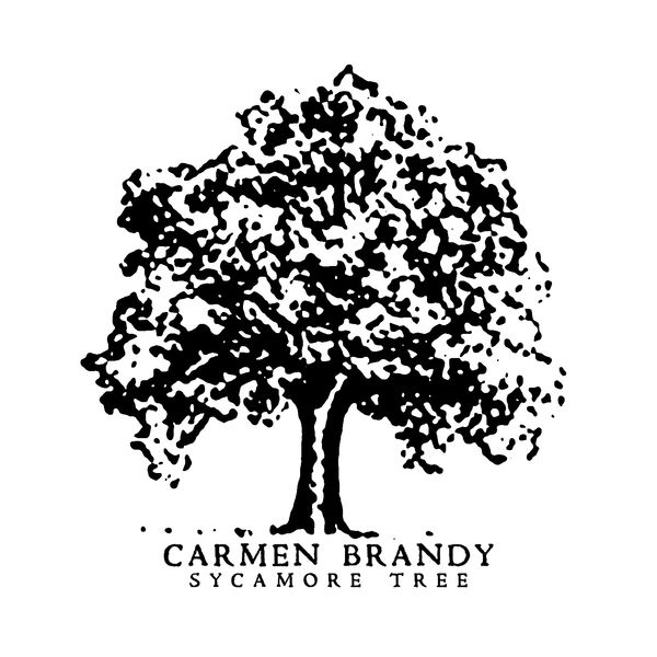 600x600 Sycamore Tree