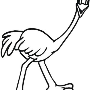 300x300 Sydney Harbour Bridge, One Of Australia Icon On Australia Day