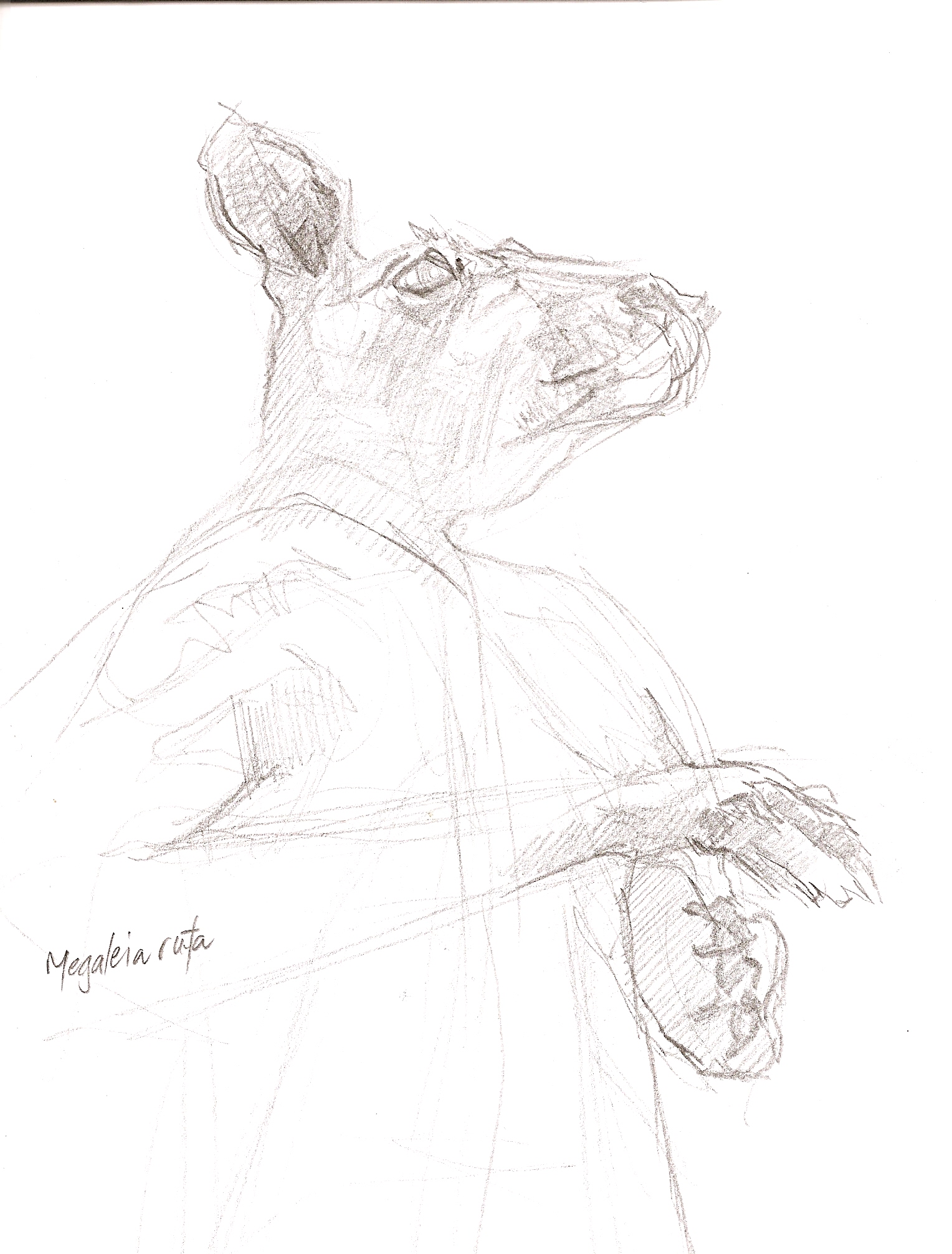 1528x2012 Sydney Sketching Gasp! Page 19