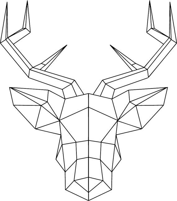 570x650 32 Best Geometric Images On Geometric Animal