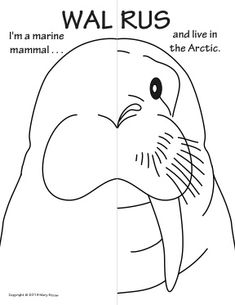 235x305 Coloring For Kids. Complete Drawing The Halves. Use With Subject