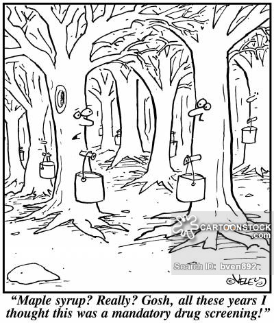 400x471 Maple Syrup Cartoons And Comics